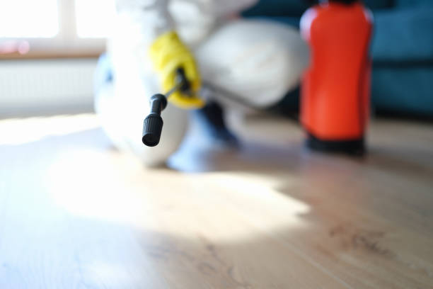 Mold Remediation for Rental Properties in Suwanee, GA